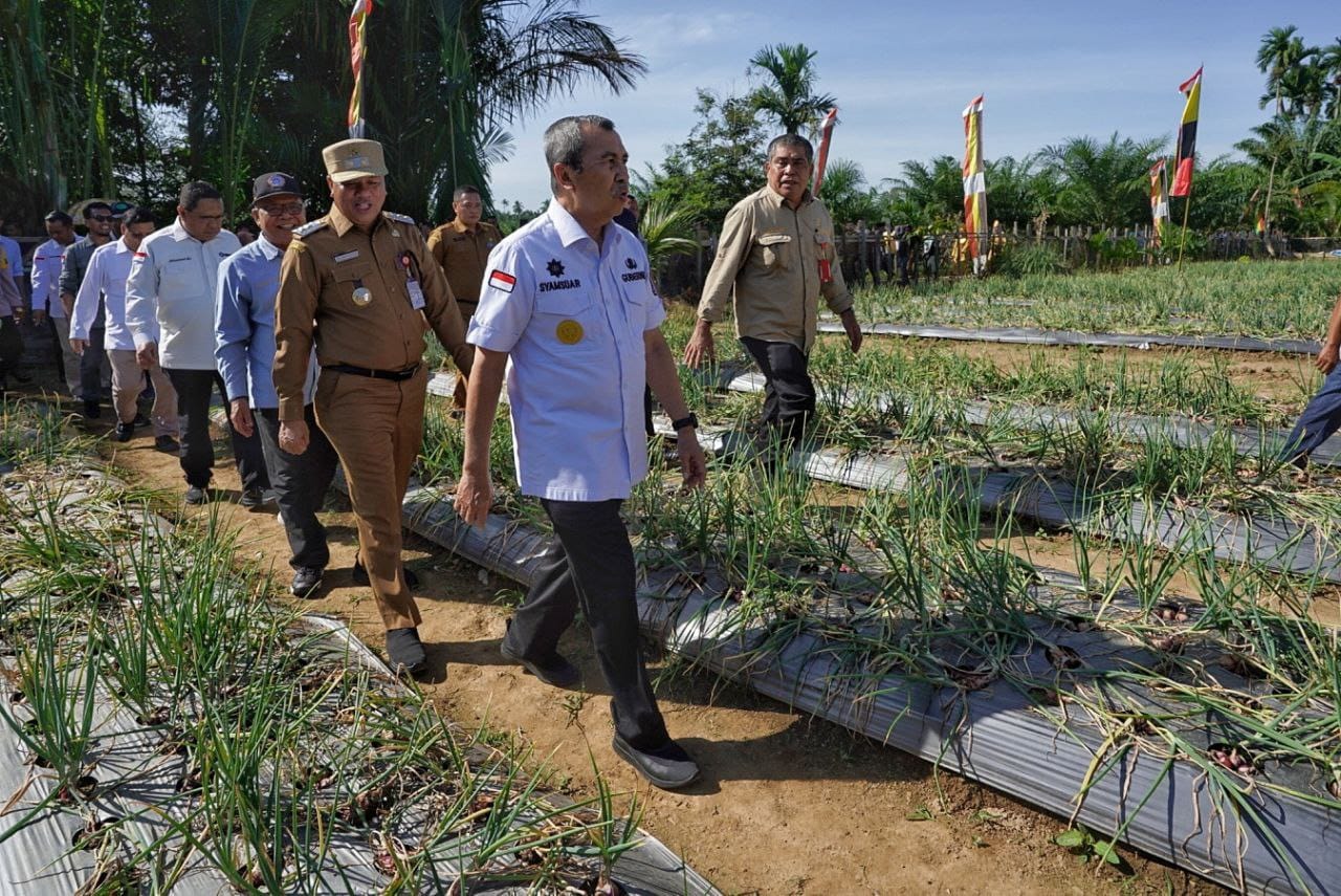 Panen Raya Bersama Ribuan Warga Kuansing, Gubernur Syamsuar Serahkan Bantuan