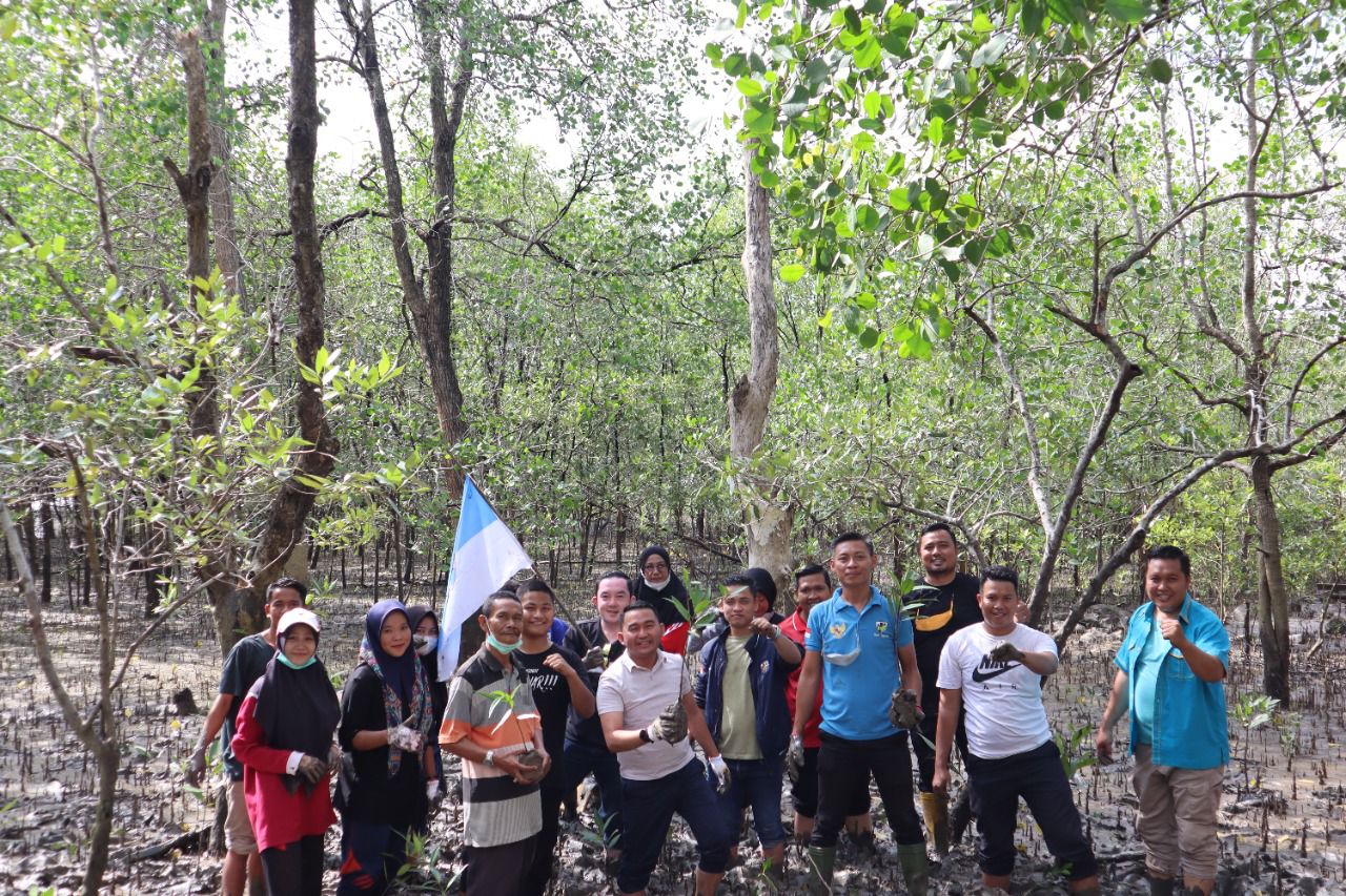 Prihatin Dengan Kondisi Abrasi Pulau Padang, DPD KNPI Riau dan KNPI Meranti Tanam 1000 Manggrove*