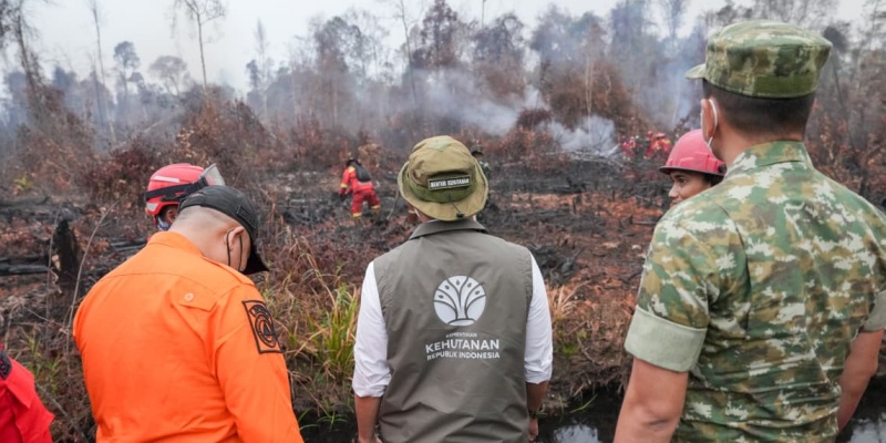 Menhut Segel Lokasi Karhutla, Baru Padam Sudah Ditanami Sawit