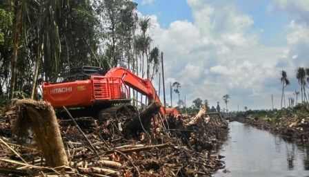 Tahukah Anda,Ternayata Kerusakan Lahan Gambut Riau Telah Mencapai 50 Persen