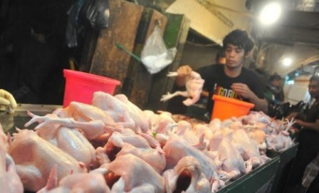 Harga Ayam Potong Di Pasar Tradisional Pekanbaru Mencapai Rp27.000/Kg