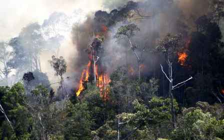 Waspada , Riau Kembali Terancam kebakaran Hutan