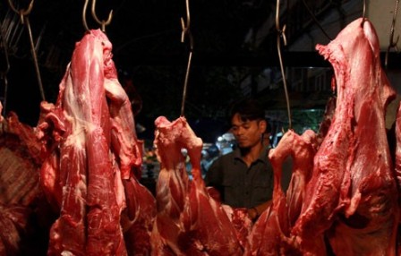Sambut Ramadhan, Lima Ton Daging Kerbau Beku Dipasok Bulog Riau