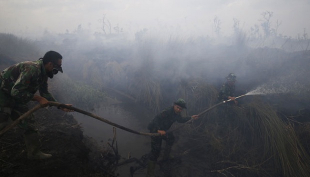 Mabes Polri : Kasus Pembakaran Hutan yang Ditangani Polisi Jadi 131 Perkara