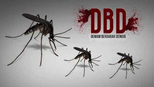 1.743 Kasus DBD di Riau Sepanjang Tahun 2023