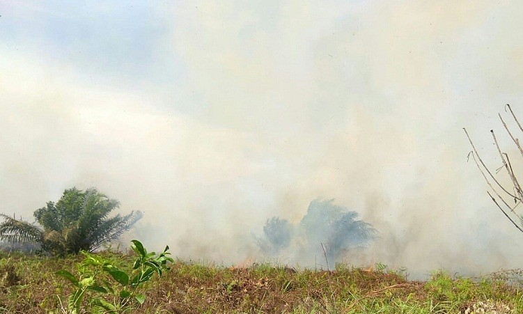Kabut Asap Kian Pekat, Kualitas Udara di Pekanbaru Tidak Sehat