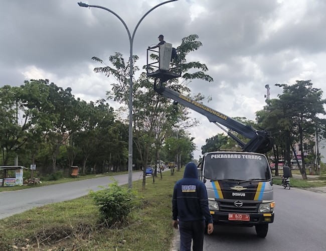 PJU Padam di Jalan SM Amin, Dishub Pekanbaru Temukan Dugaan Sabotase Kabel