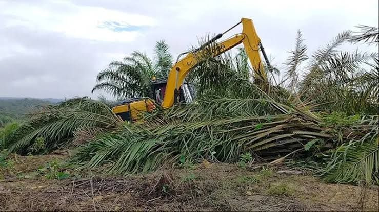 Dua Anggota DPRD Riau, Monang dan Soniwati Tegaskan Tak Punya Lahan di TNTN