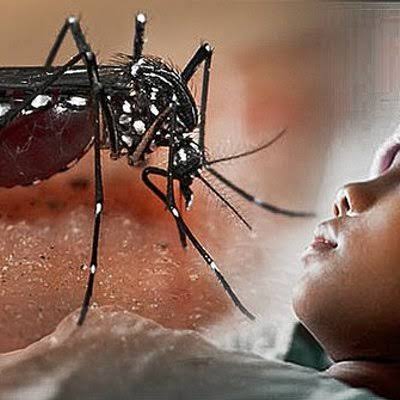DBD di Riau Terus Meningkat, 13 Orang Meninggal Dunia