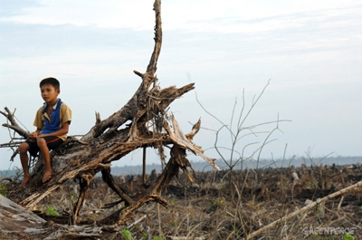 Hutan Riau Nasibmu Kini, Kembali Satgas Karhutla Temukan Area Pembalakan Liar Di TNTN
