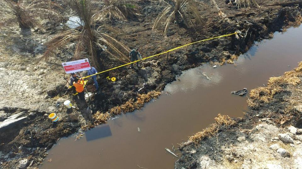 Menteri LHK Curigai Perusahaan Pembakar Hutan Terlibat Lakukan Sabotase Terhadap Petugasnya di Riau