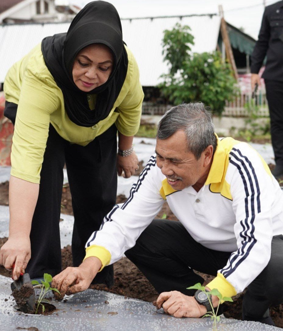 Gubri Tanam 1.000 Bibit Cabai di Pekarangan Rumah Dinas