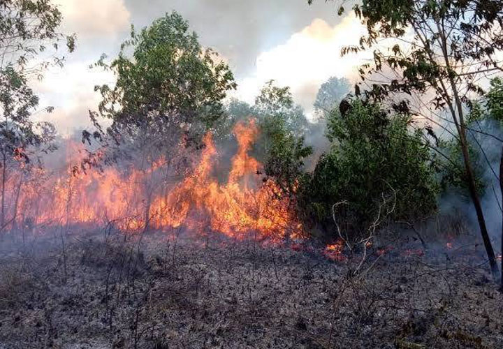 Hotspot Sumatra Melonjak 5.983 Titik, Karhutla di Riau Makin Meluas
