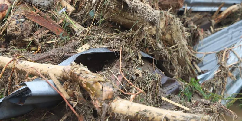 Misteri Kayu Gelondongan di Balik Bencana Sumatra, Ini Kata Kemenhut
