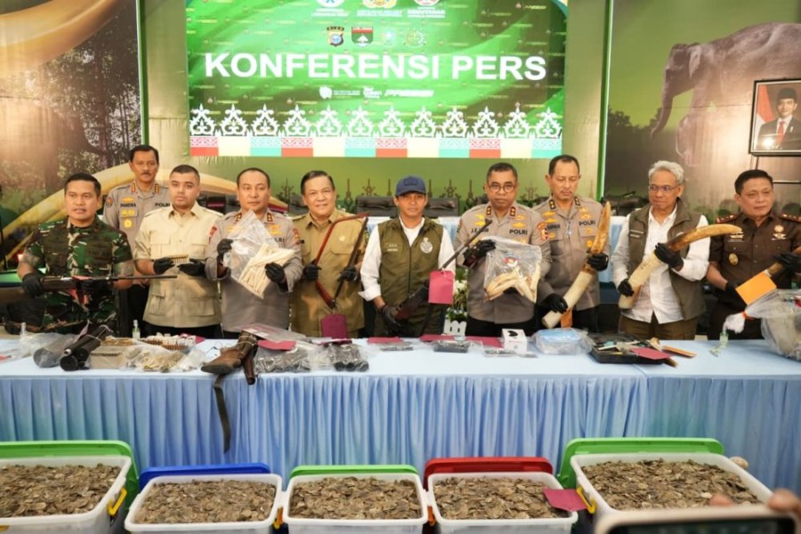 Kematian Gajah Tanpa Kepala: Gading Dijual Rp 130 Juta, Polda Riau Amankan 15 Tersangka