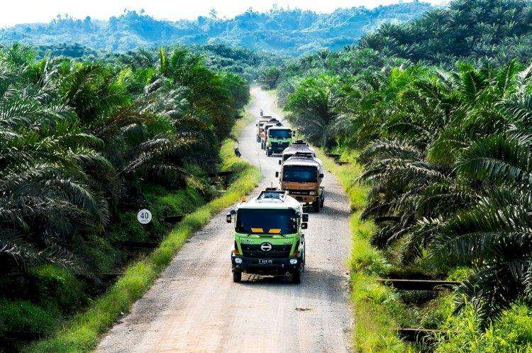 Riau Tawarkan Proyek Energi Surya dan Hilirisasi Sawit ke Singapura