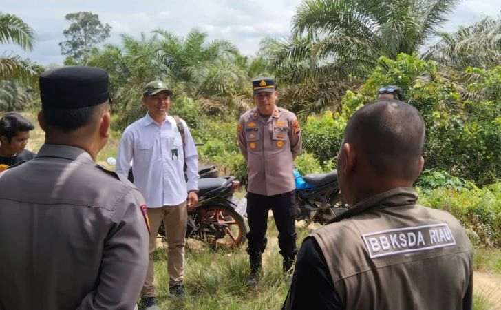BBKSDA Riau Telusuri Laporan Kemunculan Harimau Sumatera Di Kampar Kiri Tengah