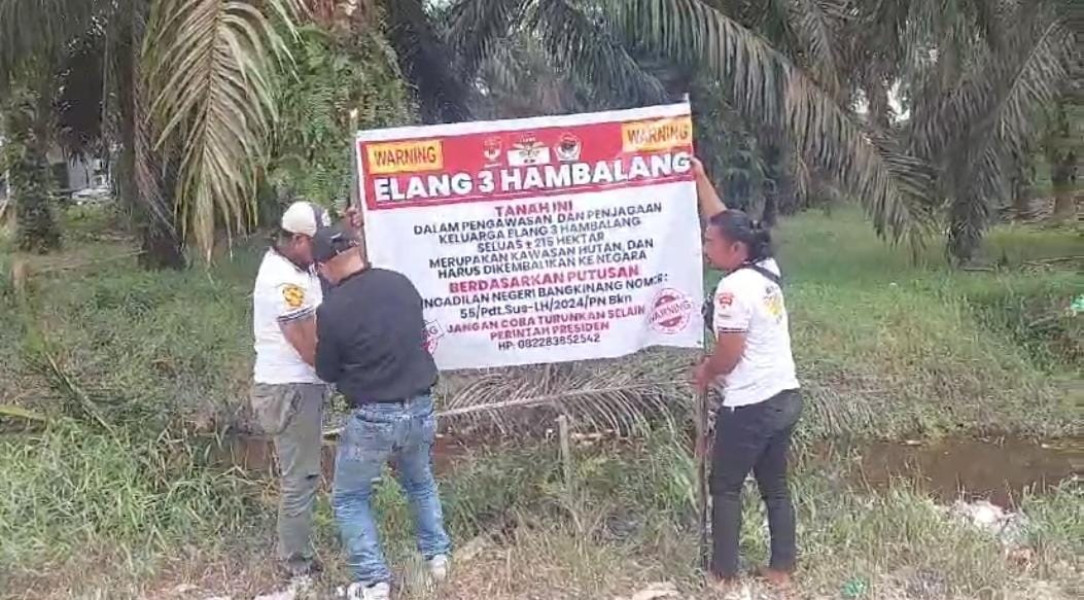 Tim Elang 3 Hambalang Ambil Alih Kebun Sawit Ilegal di Kampar, Minta Polda Riau Buru Ramli
