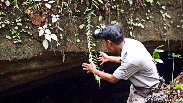 Mari Berpetualang ke Goa Tanah Bedengung Di Desa Tanjung, Keunikan yang Tersembunyi di Riau