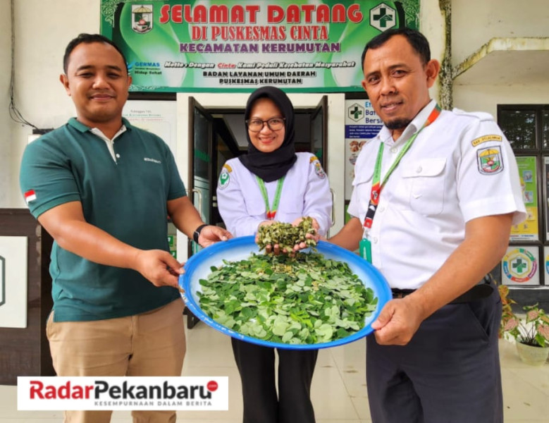Sebarkan Khasiat Daun Kelor, PT SLS Gandeng Puskesmas Kerumutan Bereskan Risiko Stunting